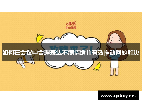 如何在会议中合理表达不满情绪并有效推动问题解决