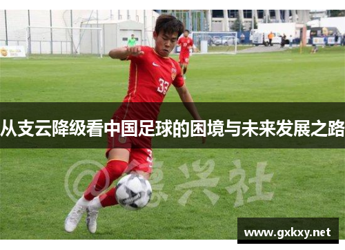 从支云降级看中国足球的困境与未来发展之路