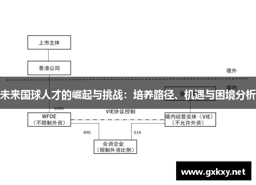 未来国球人才的崛起与挑战：培养路径、机遇与困境分析